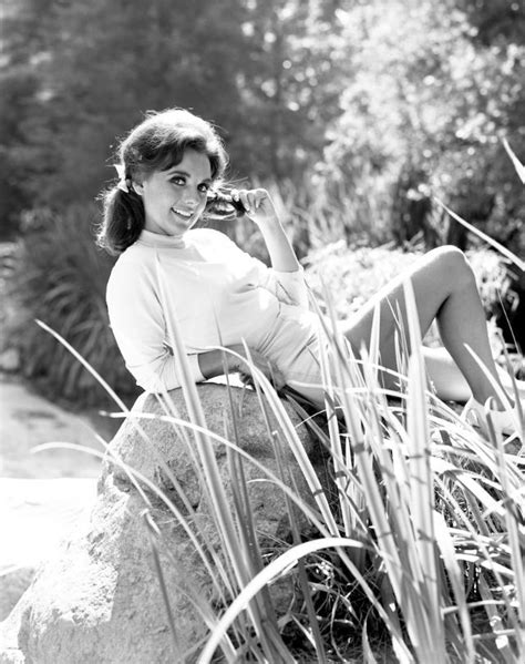 nude photos of dawn wells|30 Portrait Photos of Dawn Wells in the 1960s